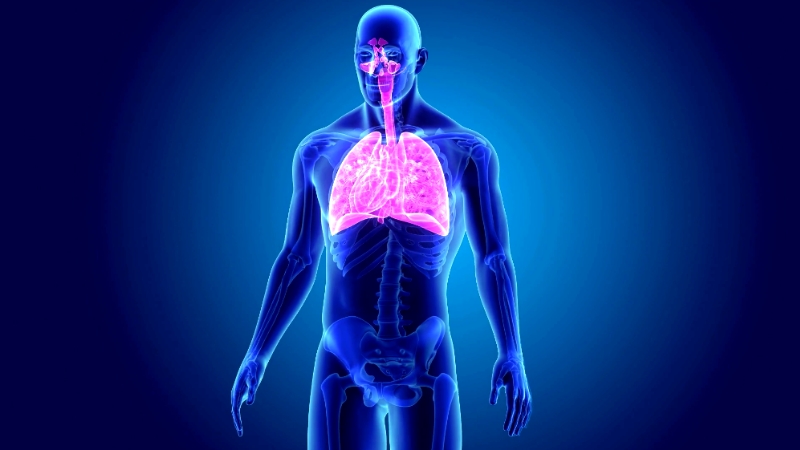 The Four Stages Of COPD Explained A Detailed Overview